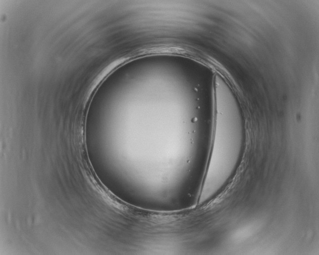 X0000064750852200602101211