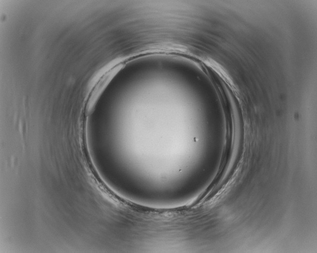 X0000064750854200602101211