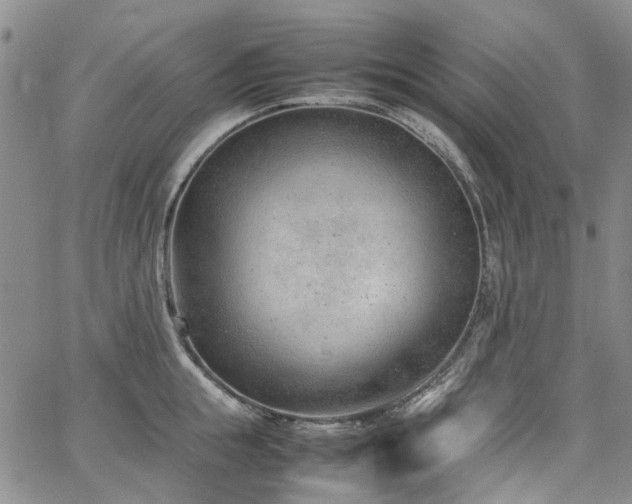 X0000064750855200602101211