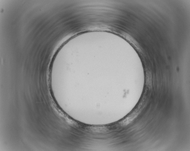 X0000064750856200602101211