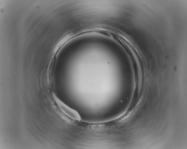 X0000064750858200602101211