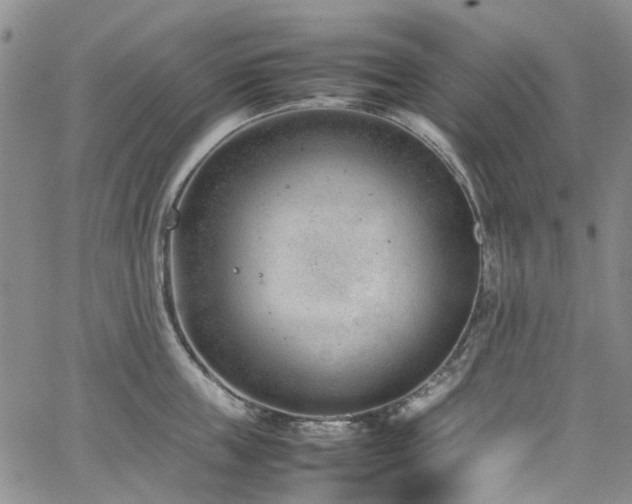 X0000064750859200602101211