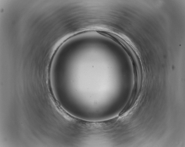 X0000064750862200602101211