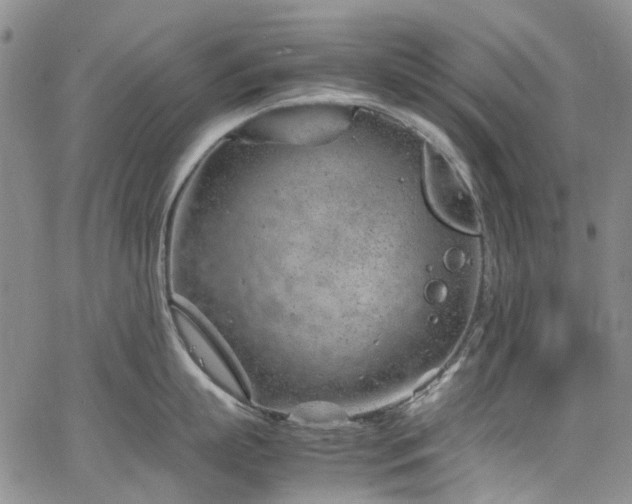 X0000064750863200602101211