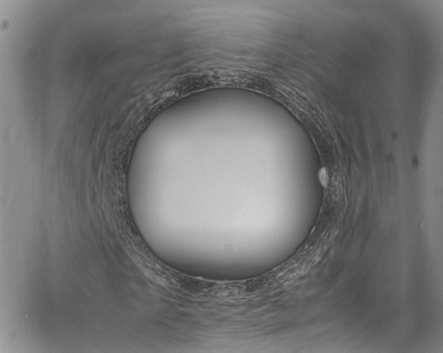 X0000064750865200602101210