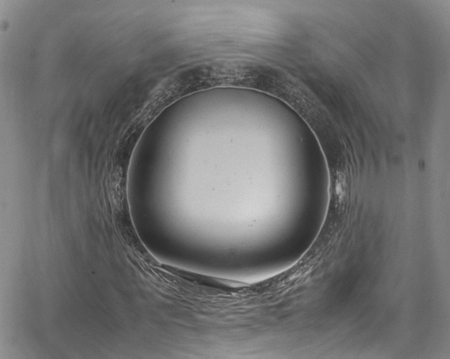 X0000064750867200602101210