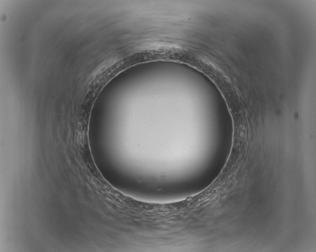 X0000064750869200602101210