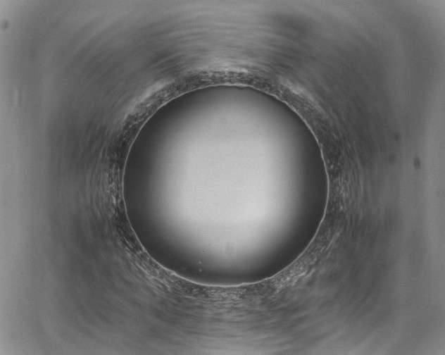 X0000064750870200602101210