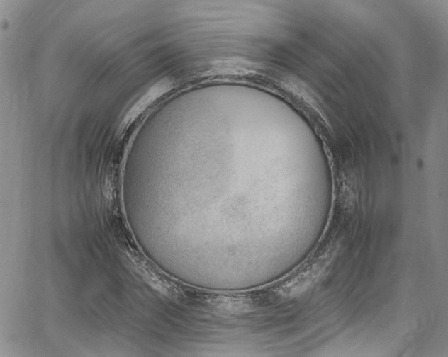 X0000064750874200602101210