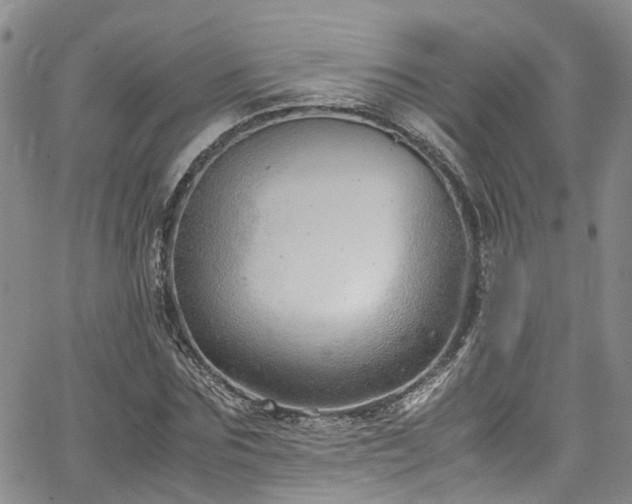 X0000064750875200602101210