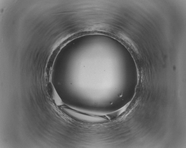 X0000064750876200602101210