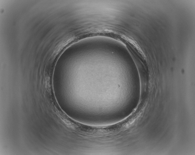 X0000064750881200602101210