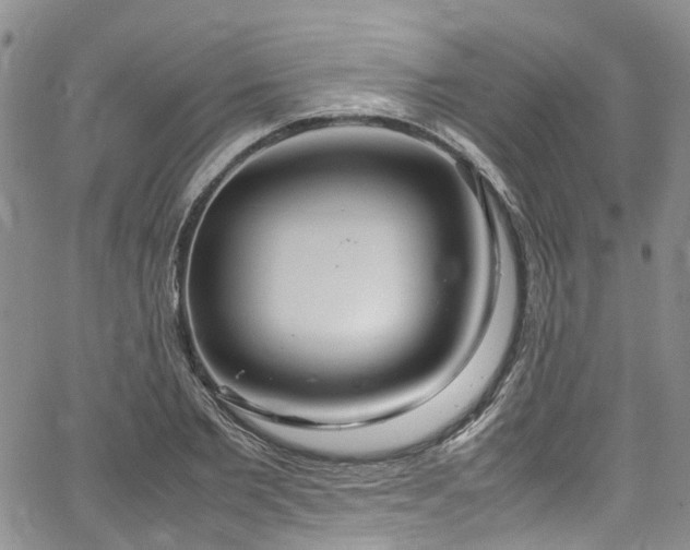 X0000064750885200602101210