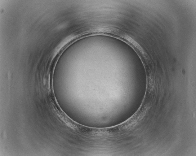 X0000064750886200602101210
