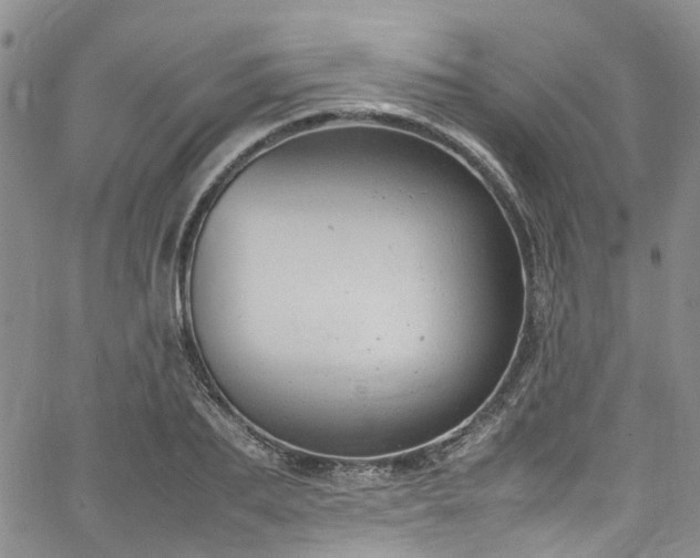 X0000064750887200602101210