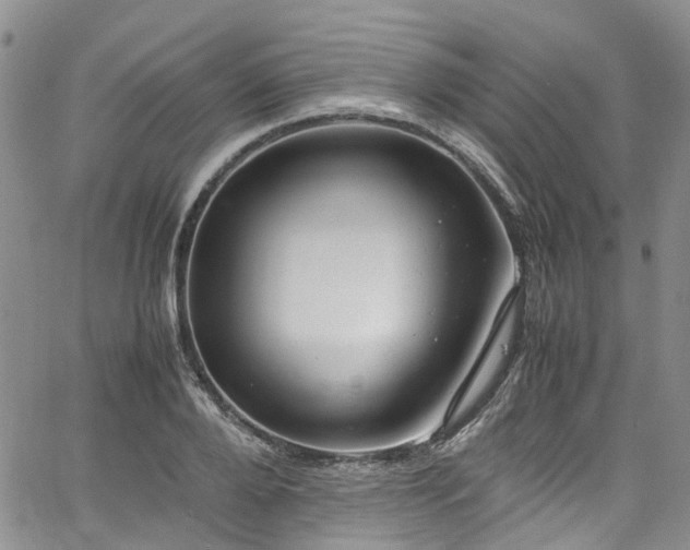 X0000064750888200602101210