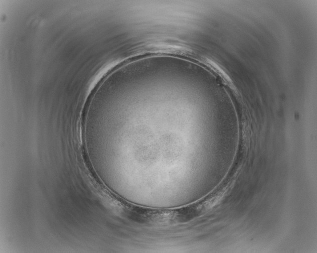 X0000064750891200602101210