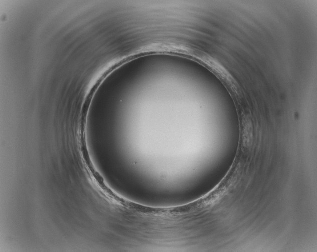 X0000064750896200602101210