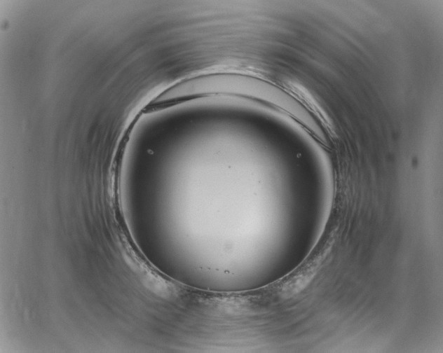 X0000064750900200602101210