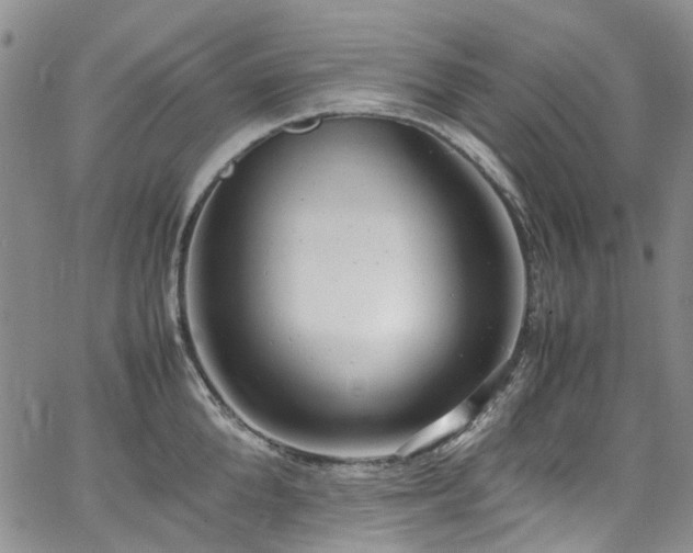 X0000064750904200602101210