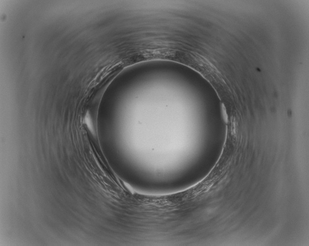 X0000064750915200602101209