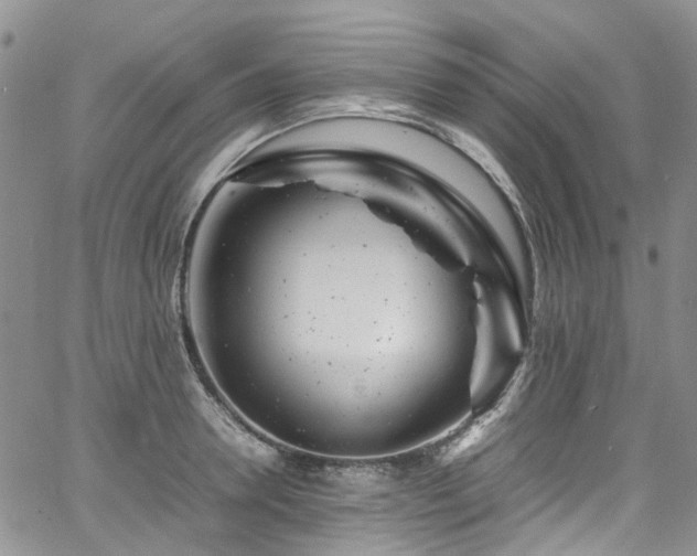 X0000064750946200602101209