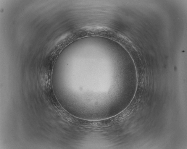 X0000064750966200602101209