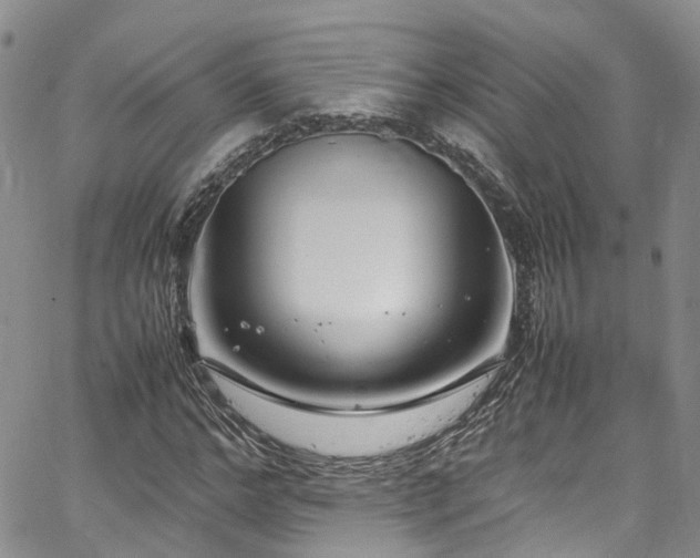 X0000064750968200602101209