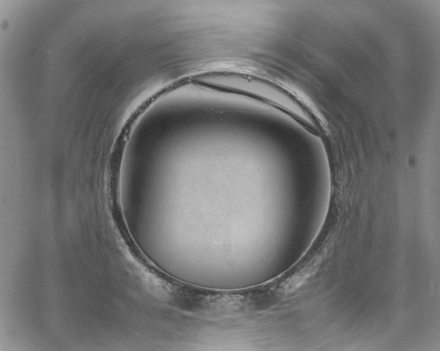 X0000064750991200602101208