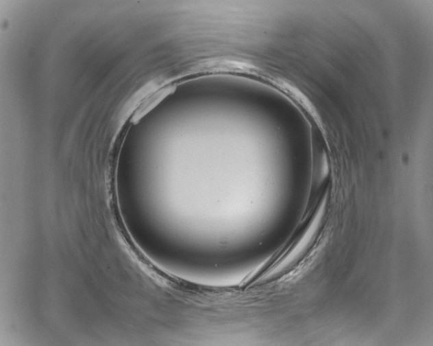 X0000064750997200602101208