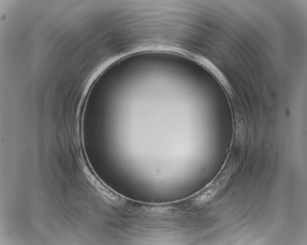 X0000064751004200602101208