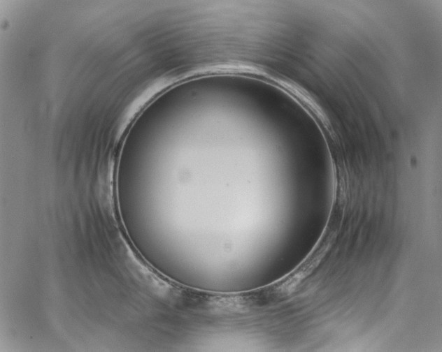 X0000064751006200602101208