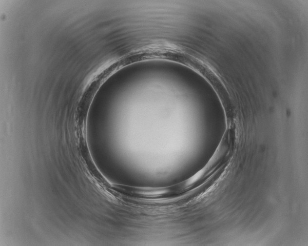 X0000064751018200602101207