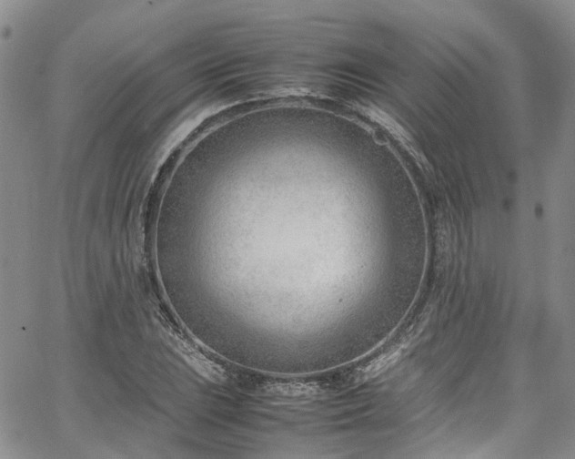 X0000064751023200602101207
