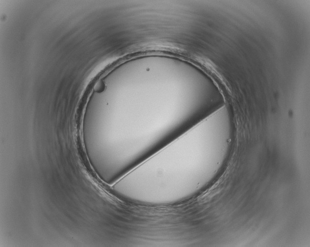 X0000064751024200602101207