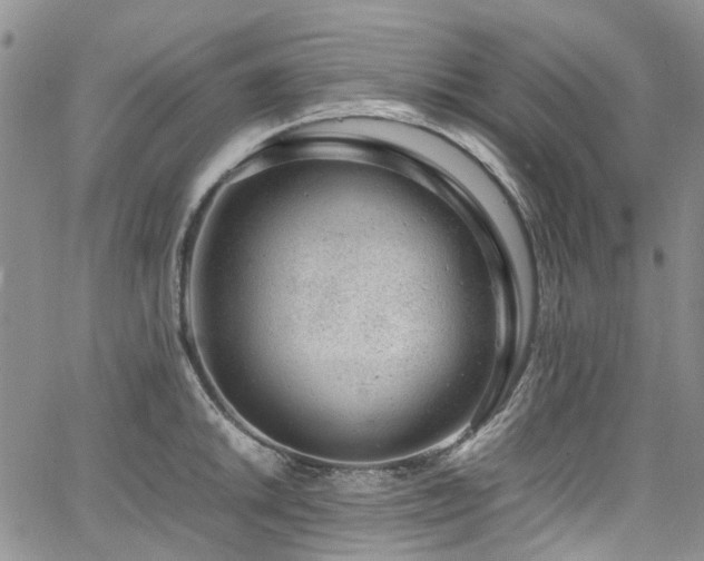 X0000064751046200602101208