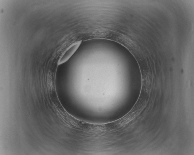 X0000064751058200602101207