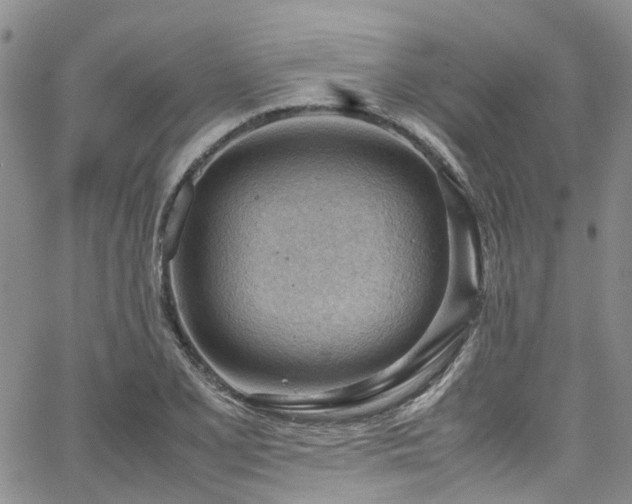 X0000064751077200602101207