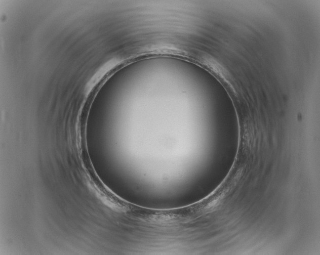X0000064751082200602101207