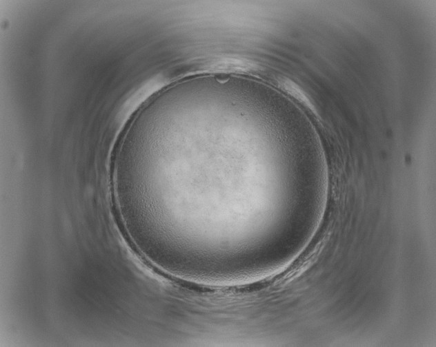 X0000064751087200602101207