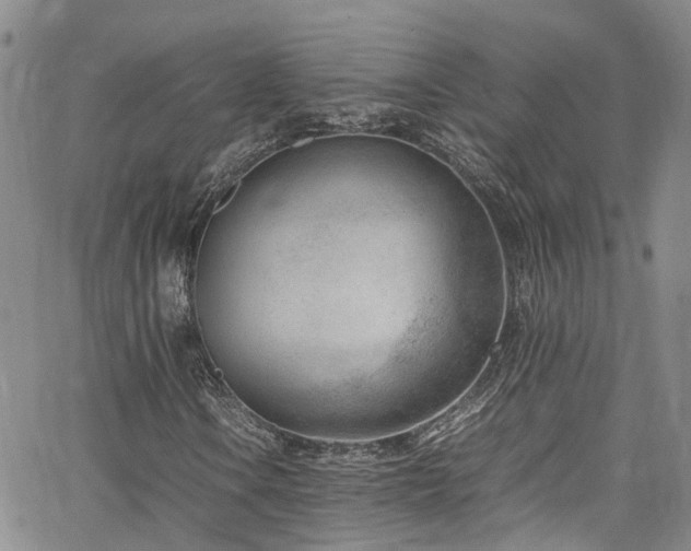 X0000064751106200602101206