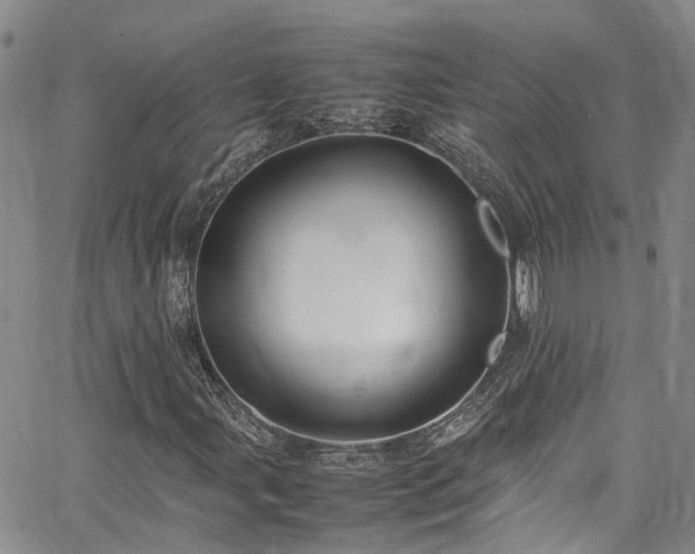X0000064751107200602101206