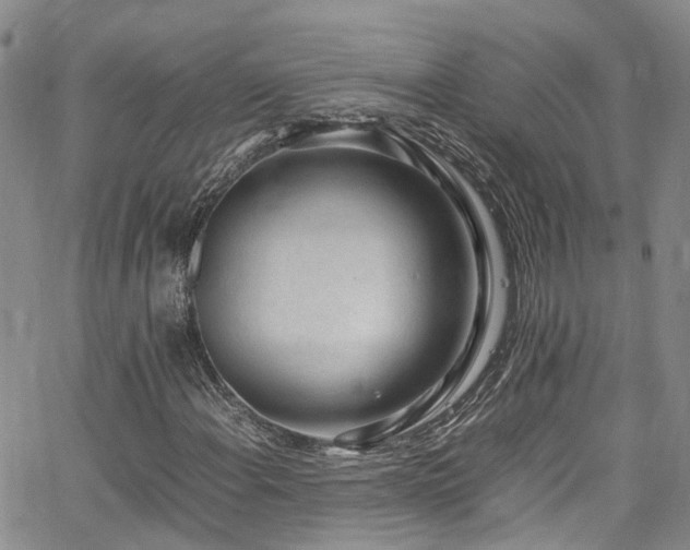 X0000064751108200602101206