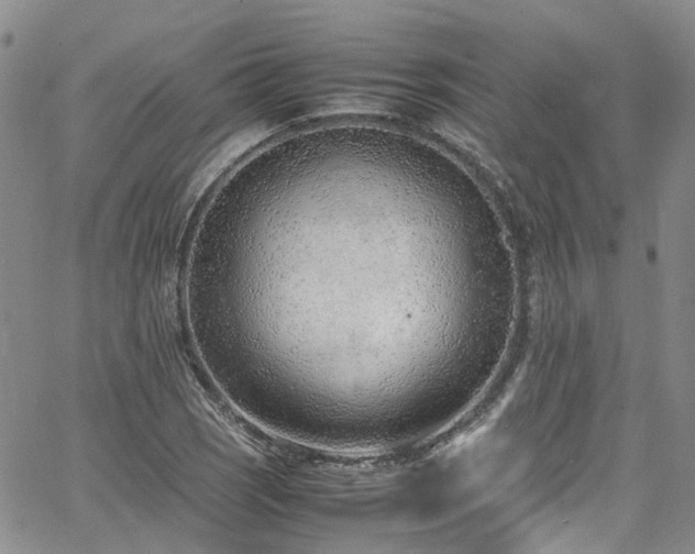 X0000064751121200602101206