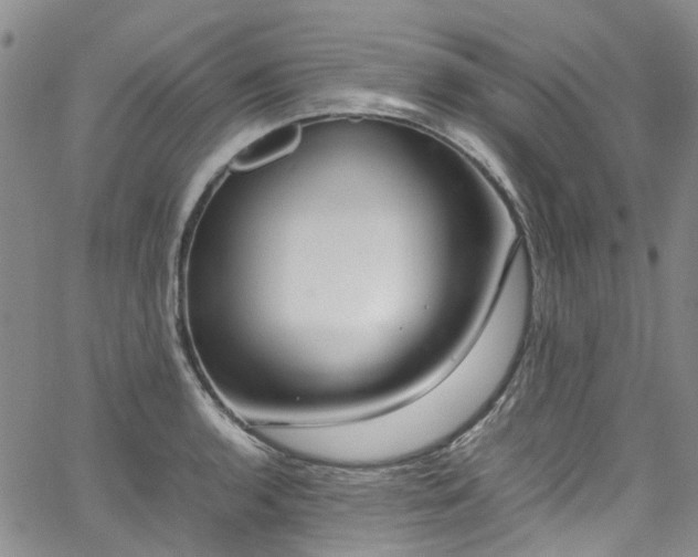 X0000064751136200602101206