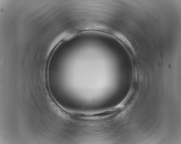 X0000064751138200602101206