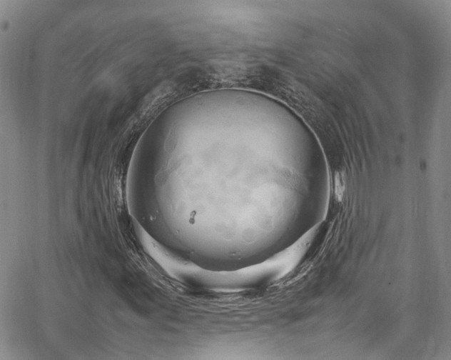 X0000064751155200602101205