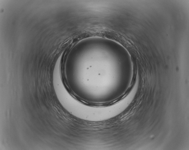 X0000064751156200602101205