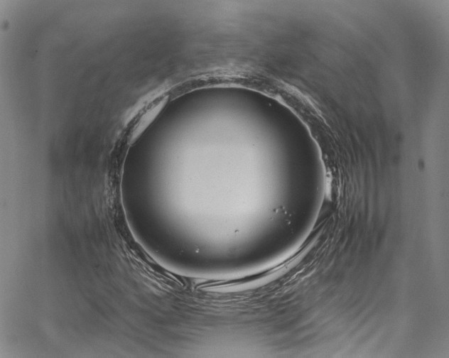X0000064751160200602101205