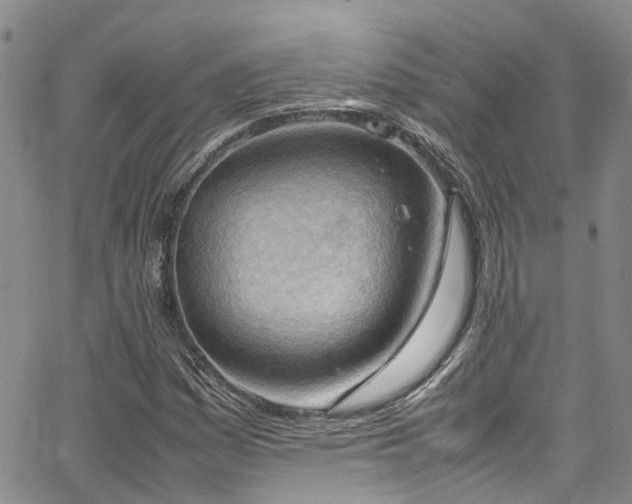 X0000064751161200602101205